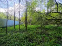 Участок, 50 сот. - фото 23