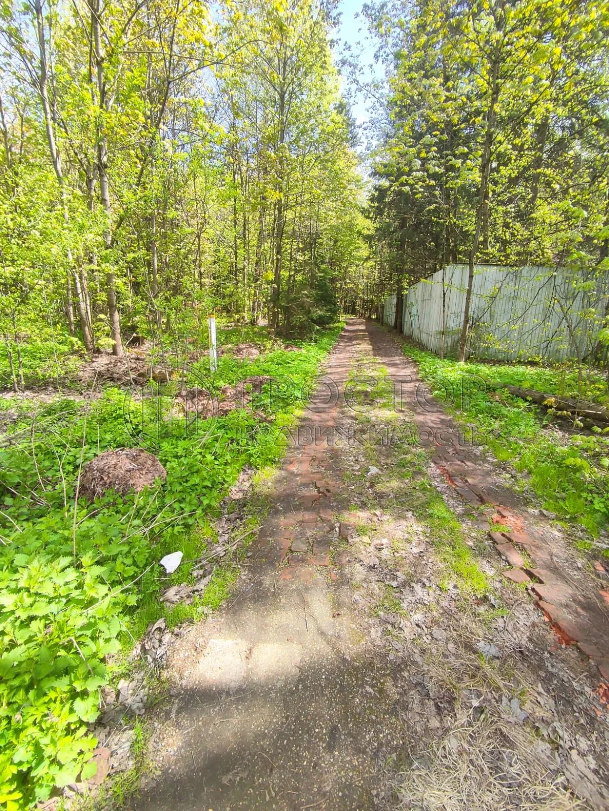 Участок, 50 сот. - фото 7