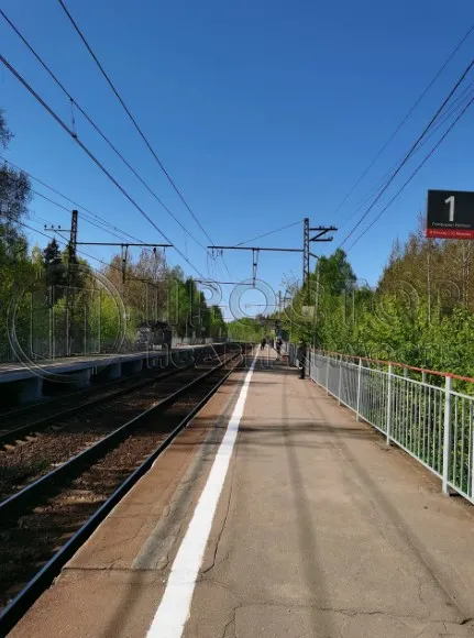 Участок, 50 сот. - фото 9