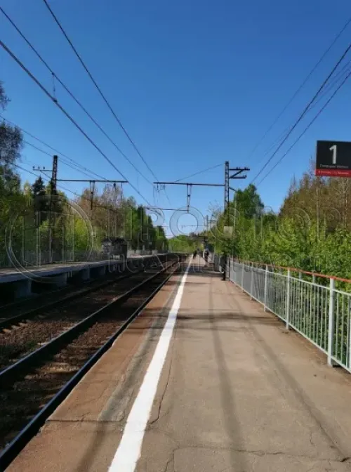 Участок, 50 сот. - фото 9