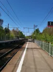 Участок, 50 сот. - фото 27
