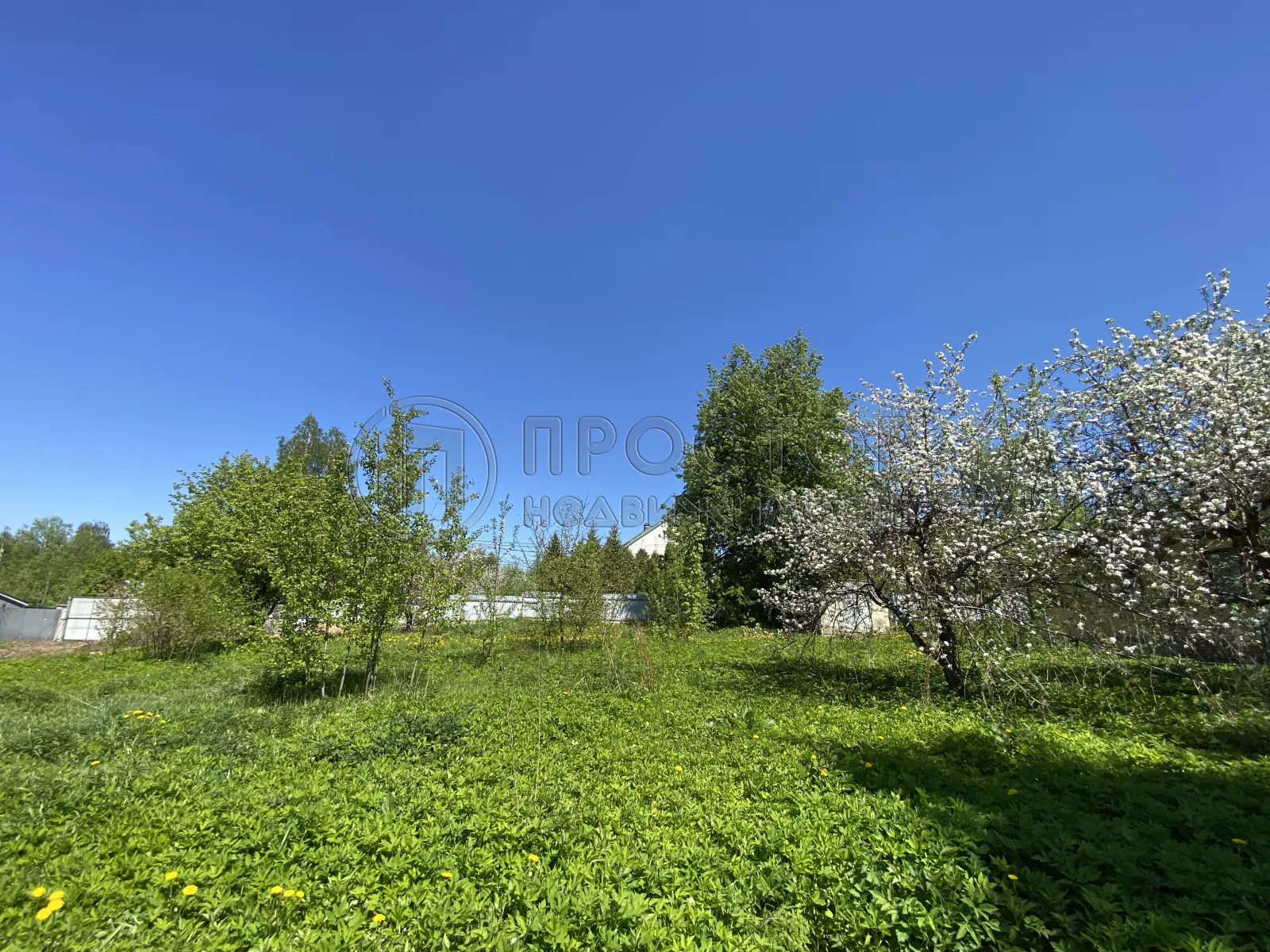 Участок, 8 сот. - фото 3