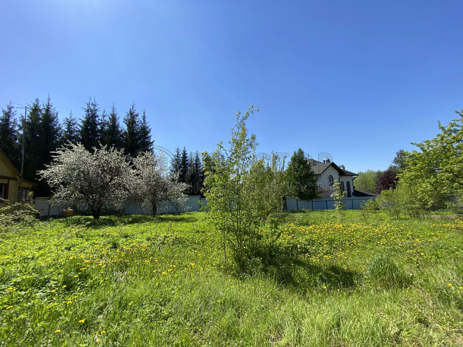 Участок, 8 сот. - фото 5