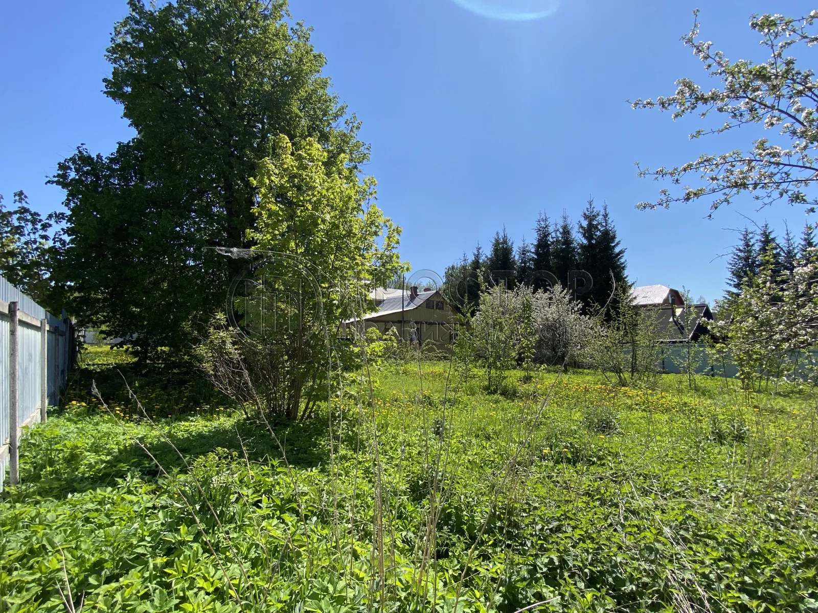 Участок, 8 сот. - фото 14