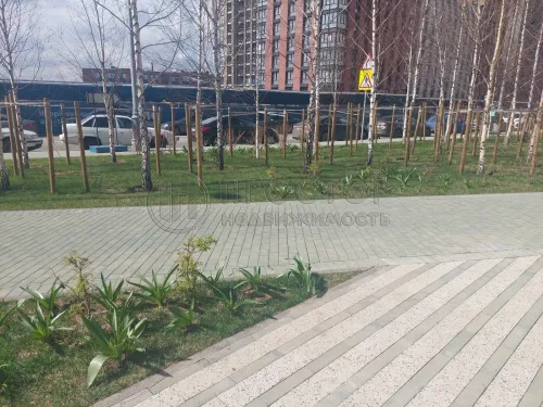 Студия, 24.6 м² - фото 26