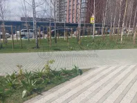 Студия, 24.6 м² - фото 52