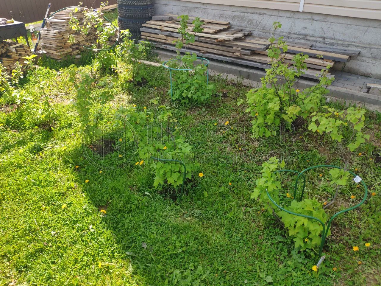 Дом, 90 м² - фото 7