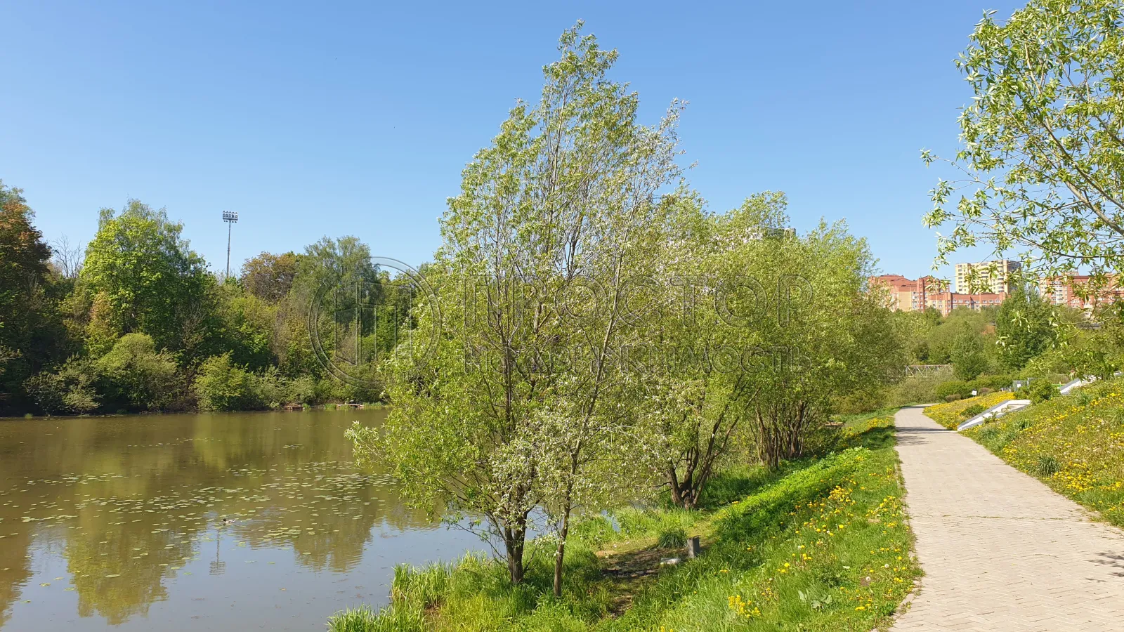 1-комнатная квартира, 40.7 м² - фото 6