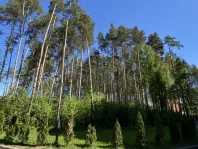 3-комнатная квартира, 78.9 м² - фото 54