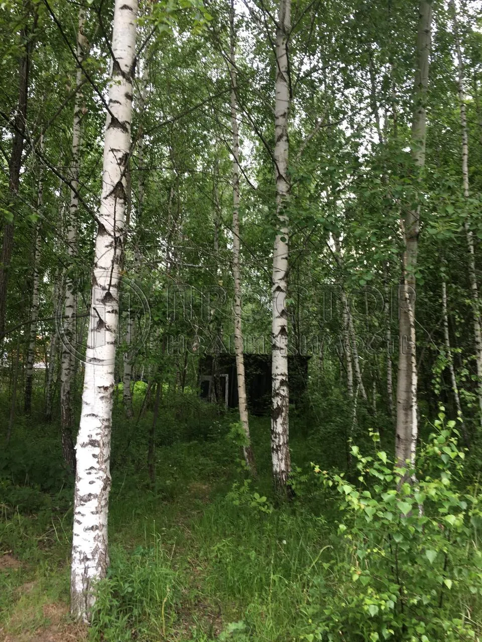 Участок, 12 сот. - фото 8