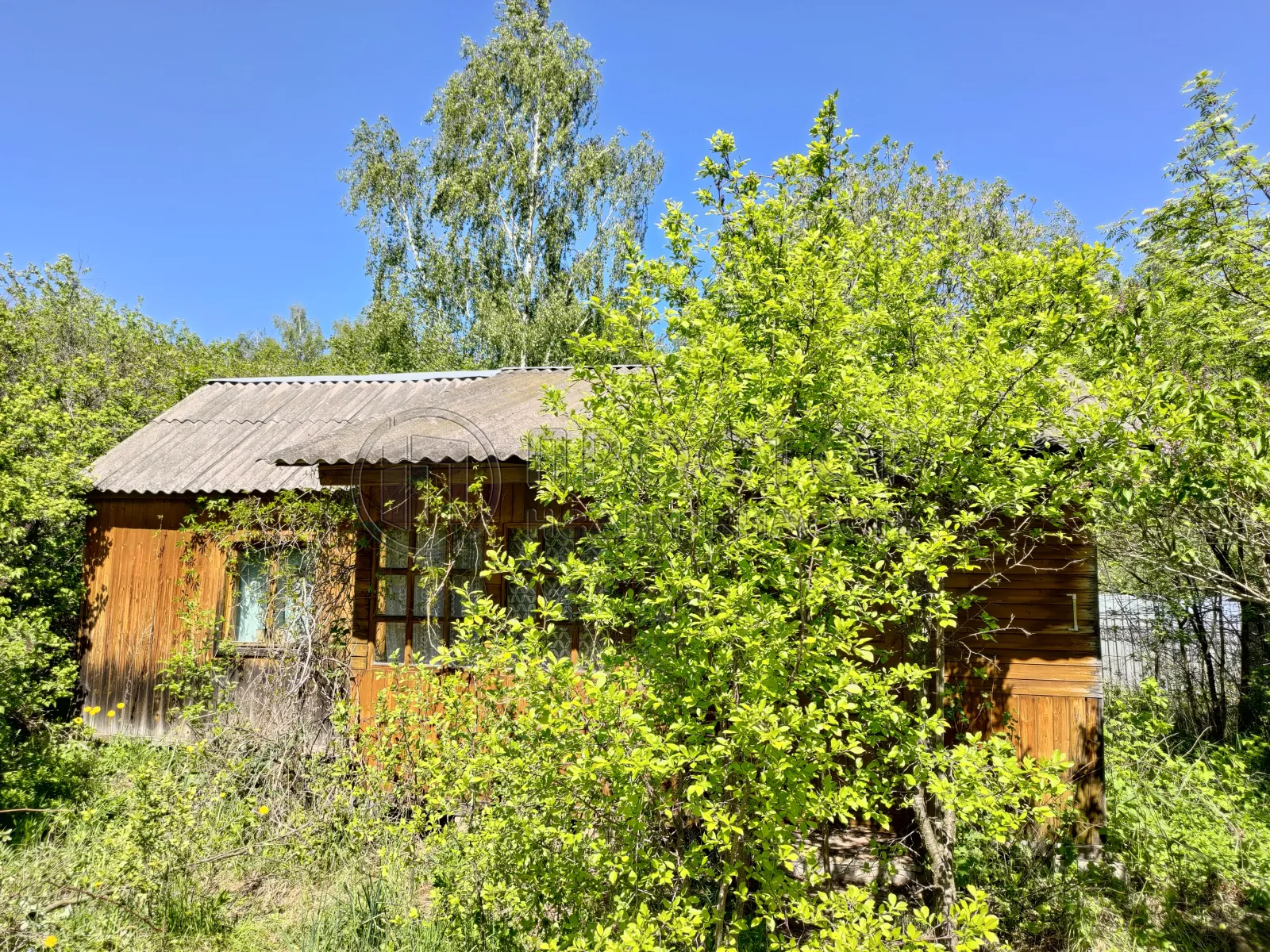 Дом, 43 м² - фото 8