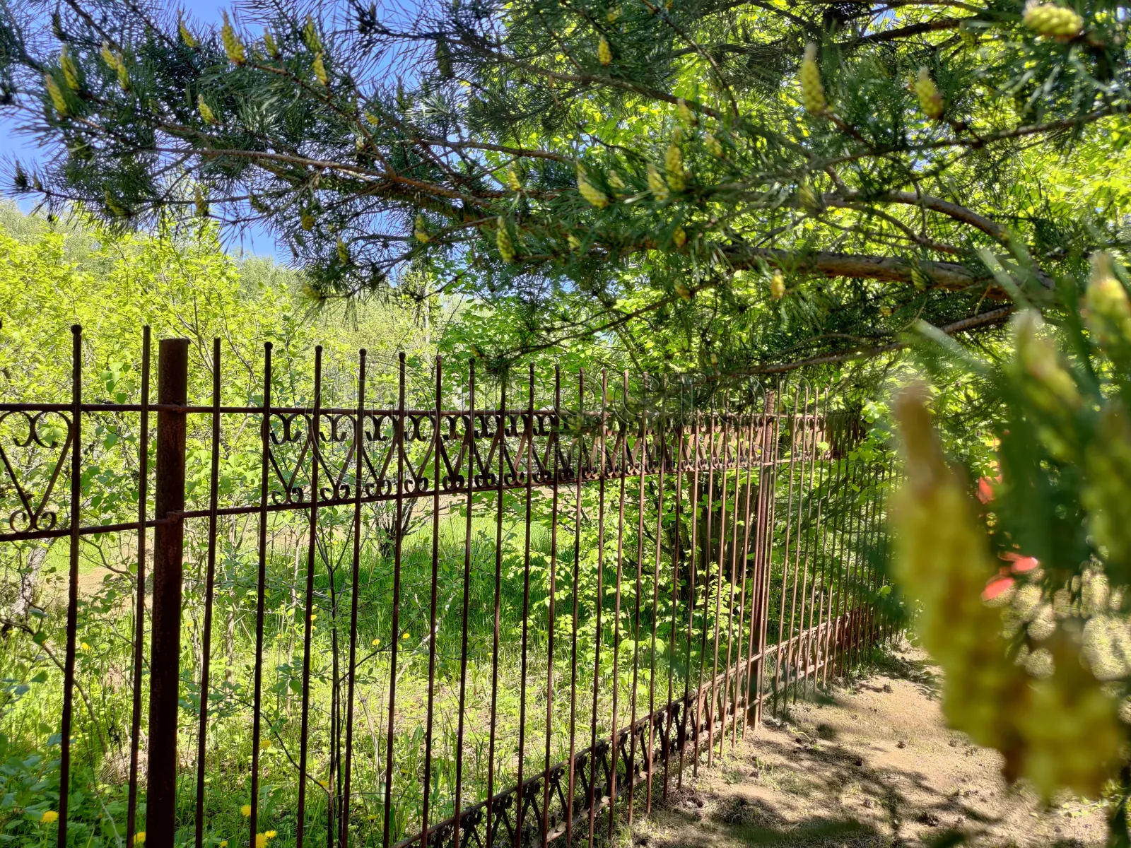 Дом, 43 м² - фото 14