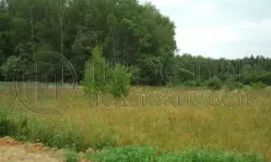 Участок, 8 сот. - фото 8