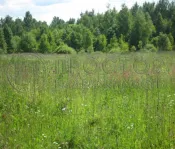 Участок, 8 сот. - фото 6
