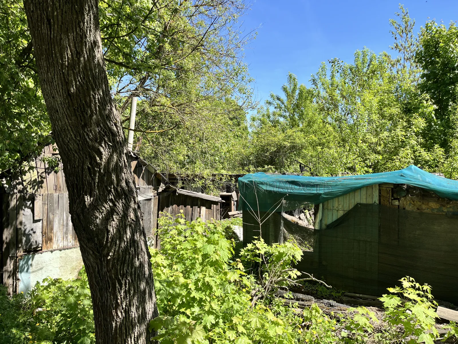 Участок, 7.5 сот. - фото 7