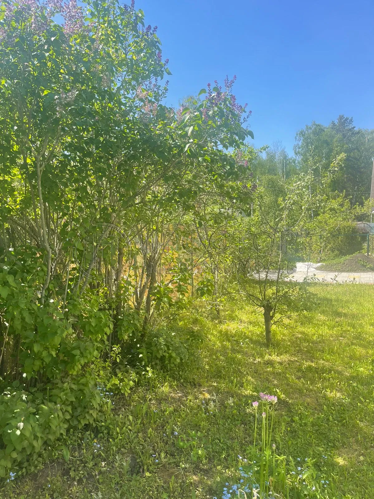 Участок, 6 сот. - фото 11