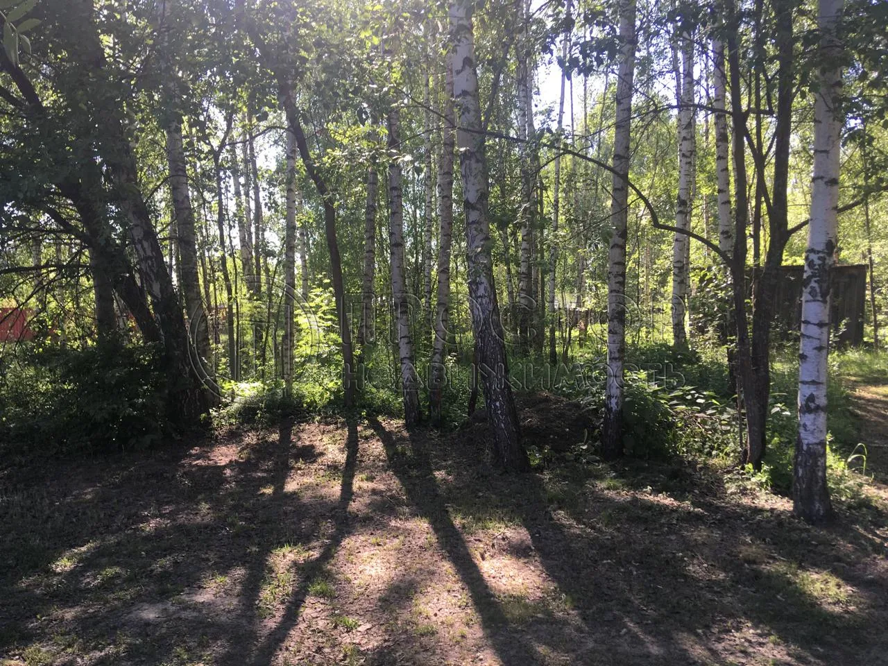 Участок, 12 сот. - фото 4