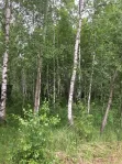 Участок, 12 сот. - фото 12