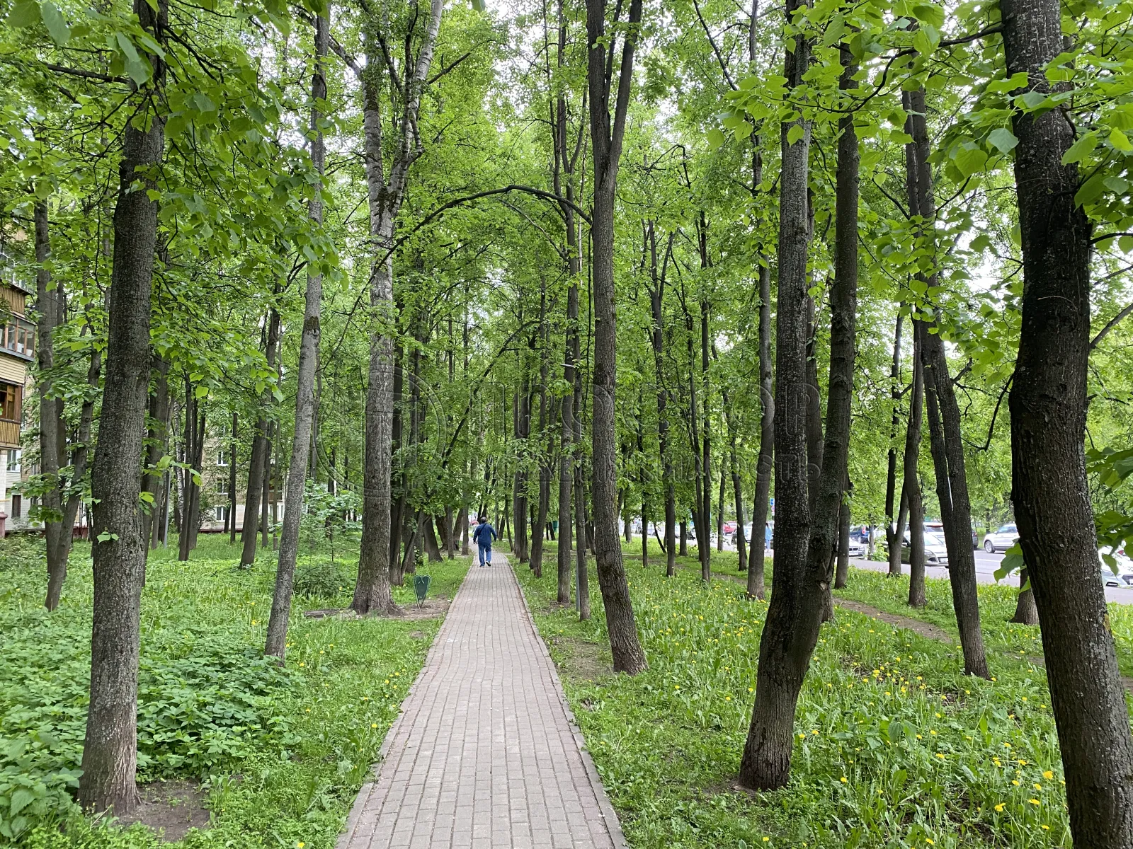 1-комнатная квартира, 35 м² - фото 16