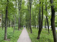 1-комнатная квартира, 35 м² - фото 31