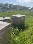 Участок, 6 сот. - фото 40