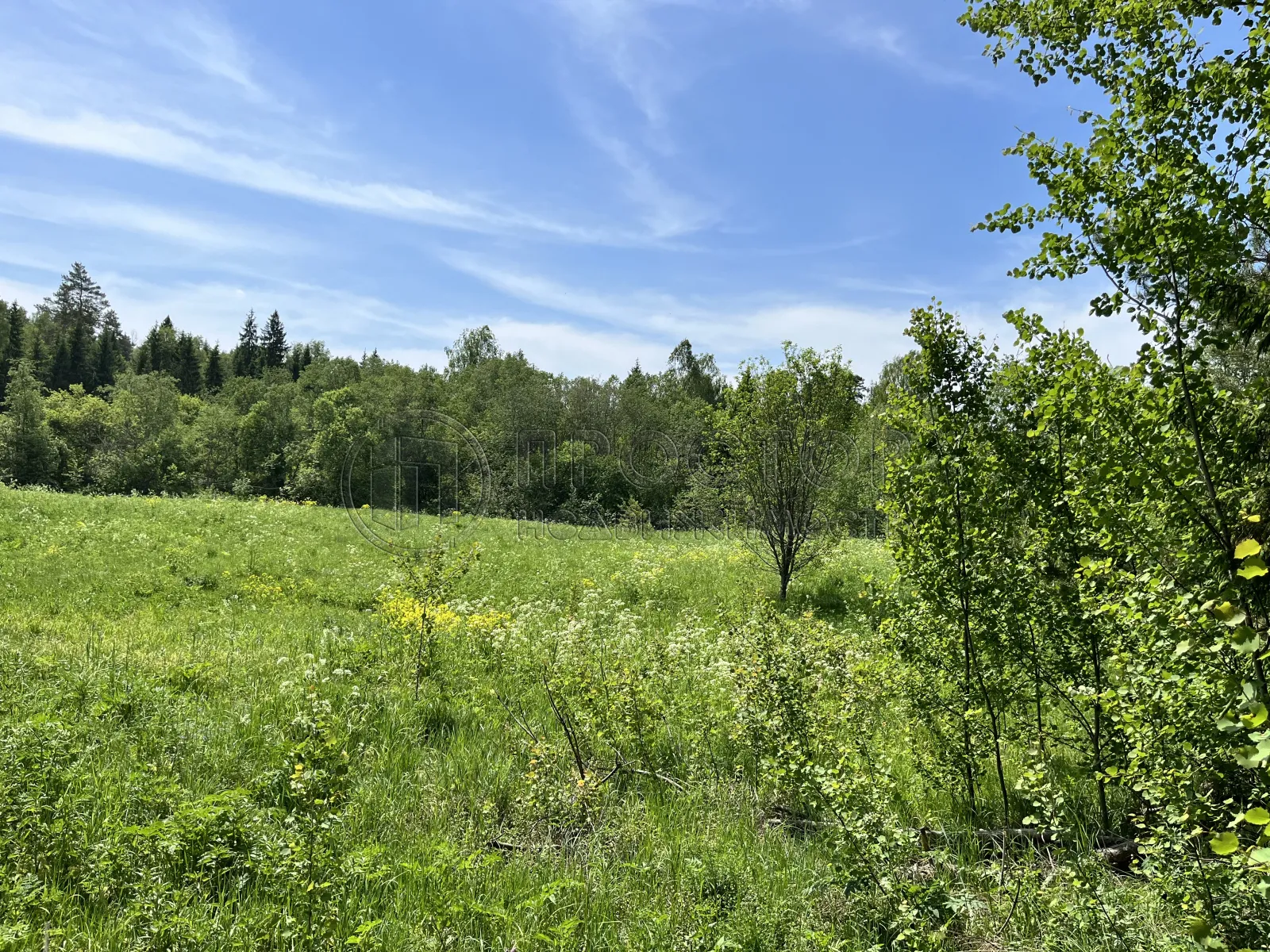 Участок, 15 сот. - фото 3