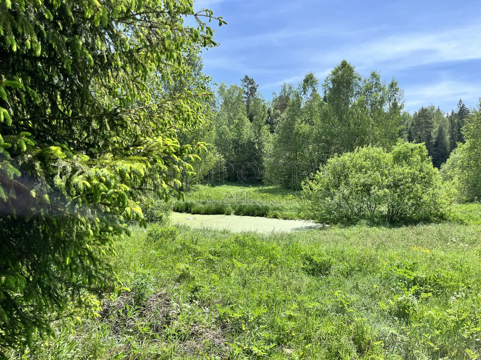 Участок, 15 сот. - фото 4