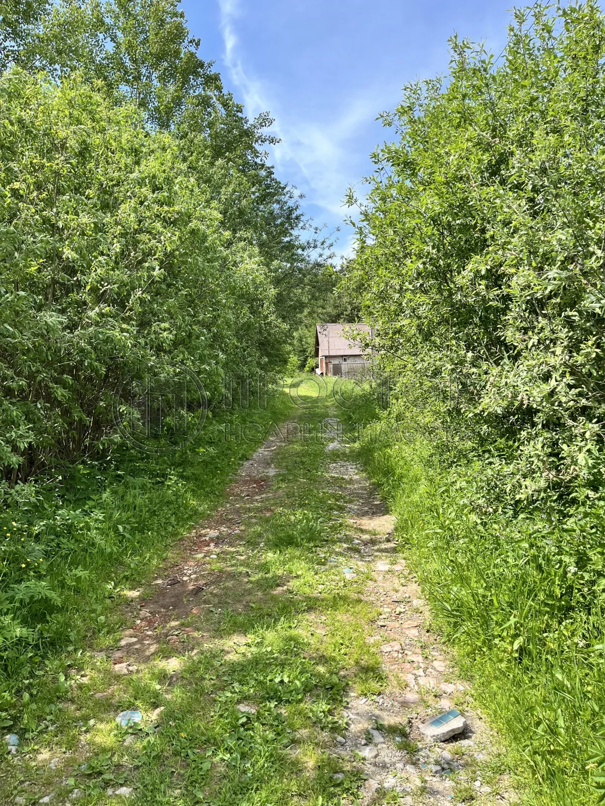 Участок, 15 сот. - фото 6