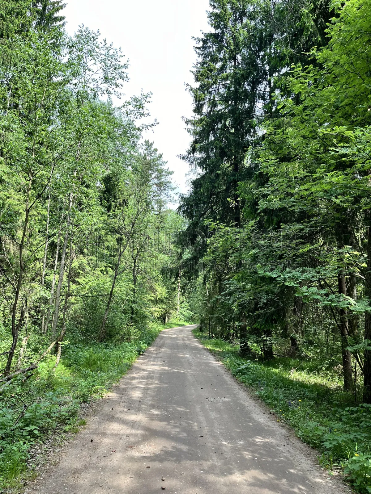 Участок, 15 сот. - фото 7