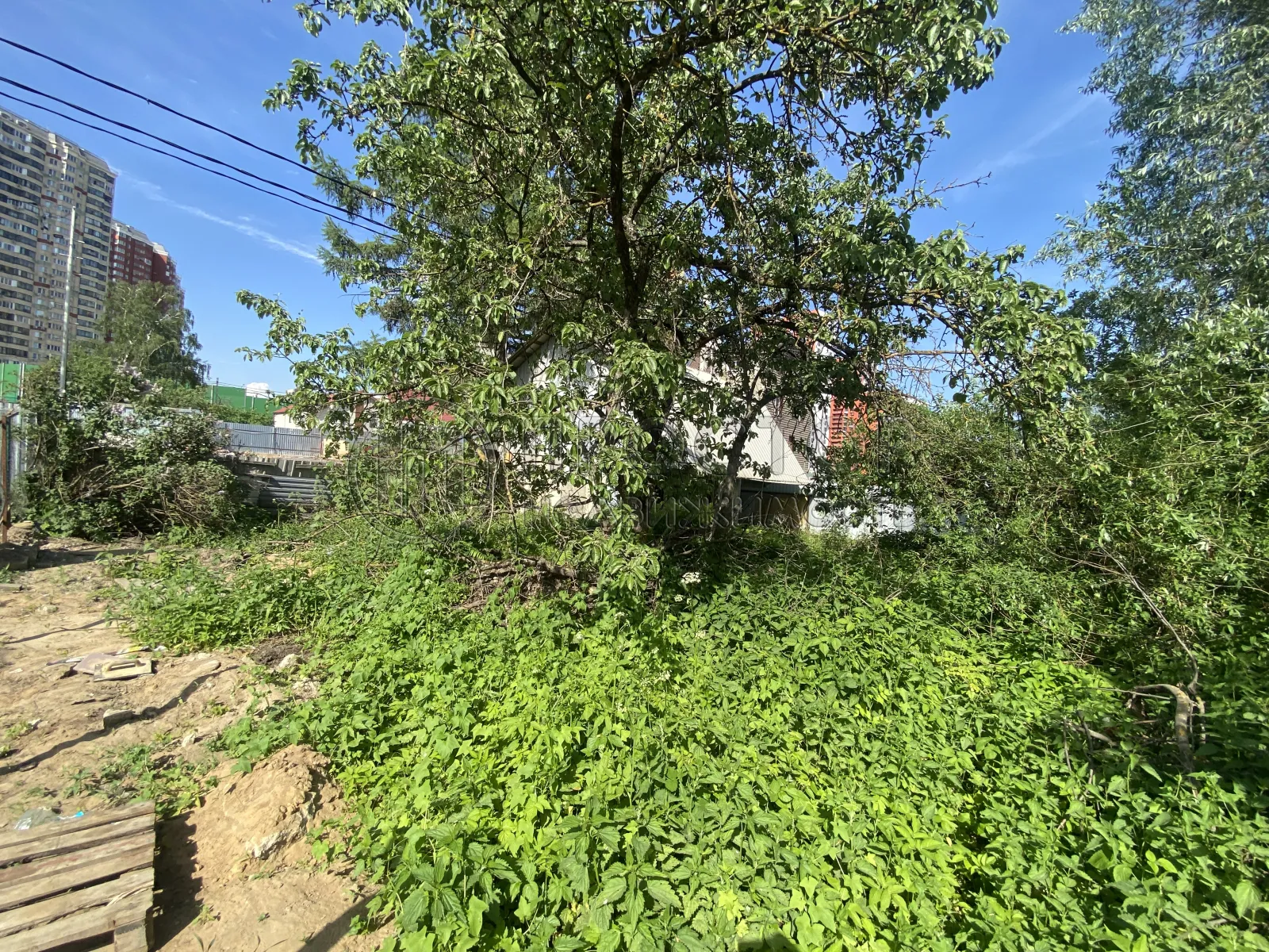 Участок, 4.27 сот. - фото 8