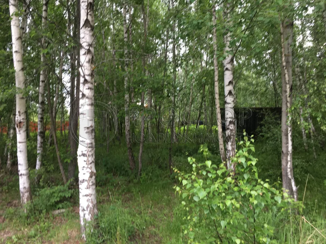 Участок, 6 сот. - фото 2