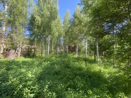 Участок, 6 сот. - фото 6