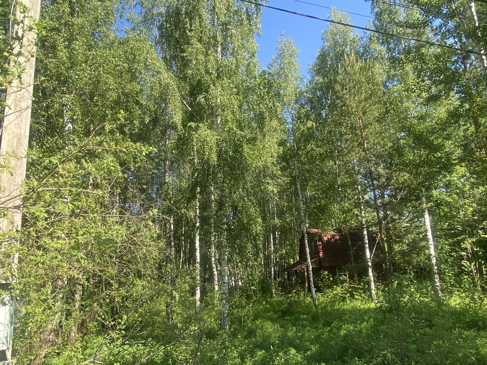 Участок, 6 сот. - фото 7