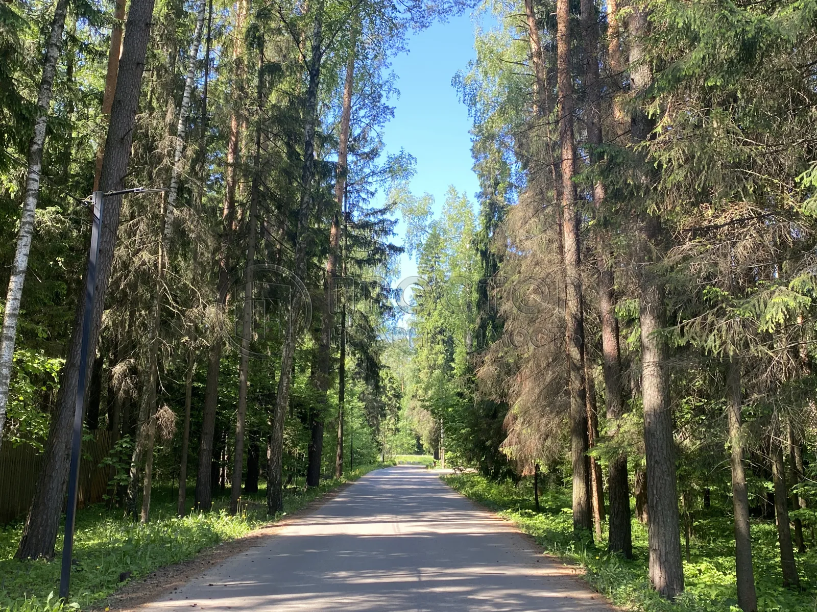 Участок, 6 сот. - фото 2