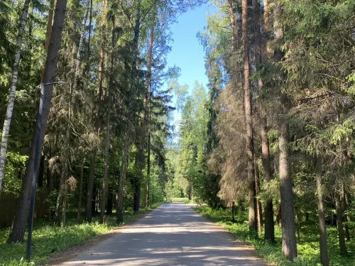 Участок, 6 сот. - фото 2