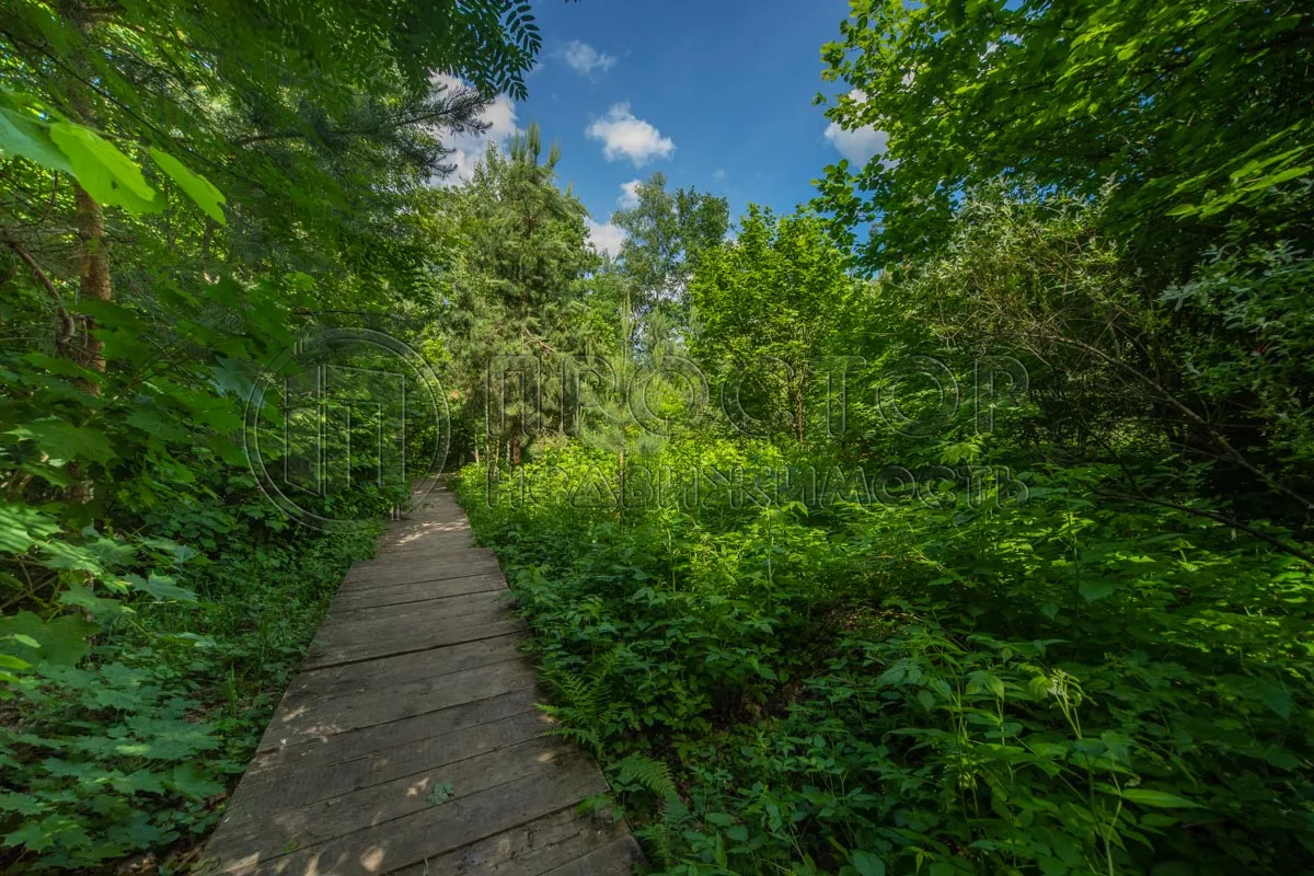 2-комнатная квартира, 58.3 м² - фото 24