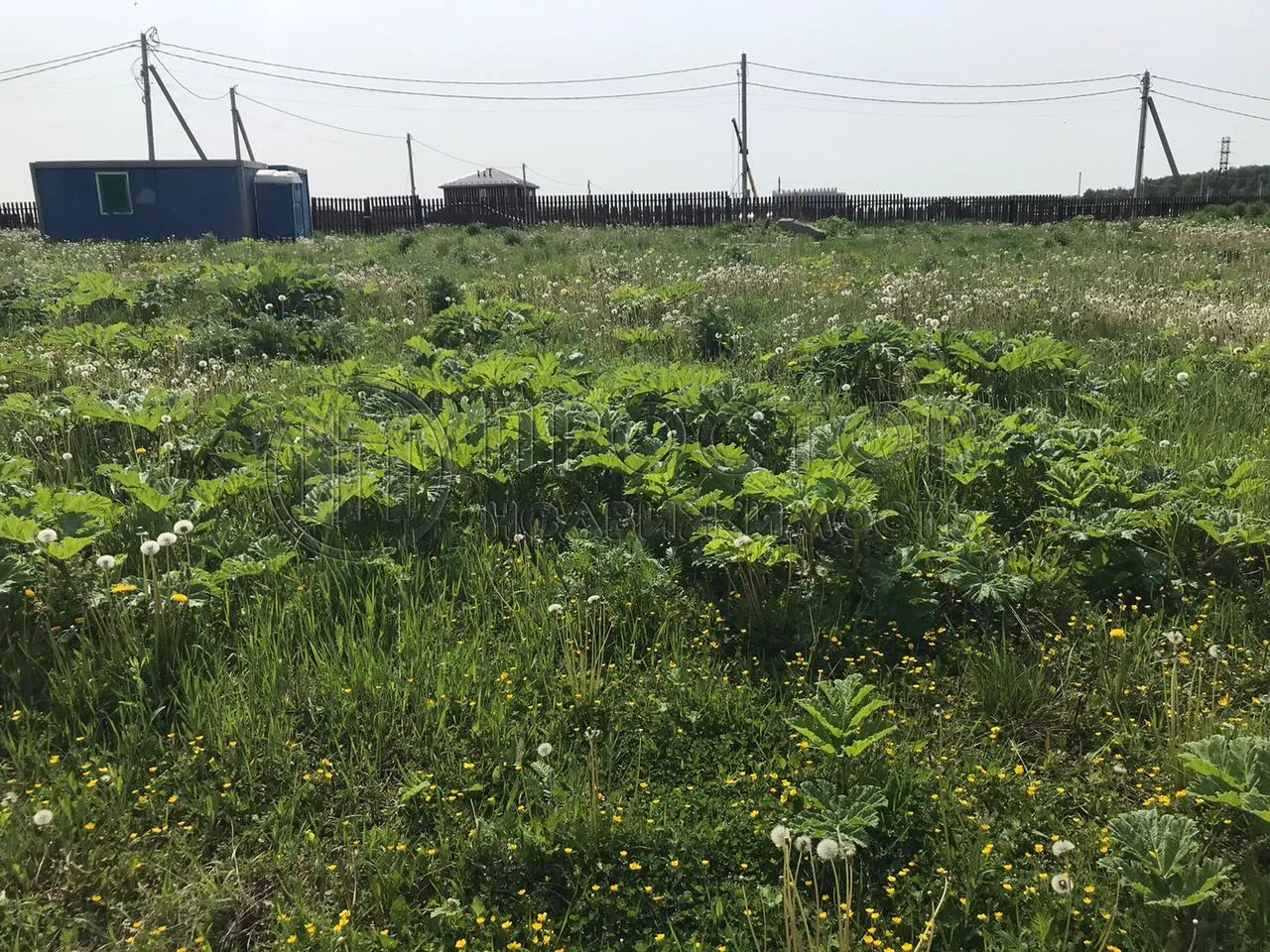 Участок, 6 сот. - фото 2