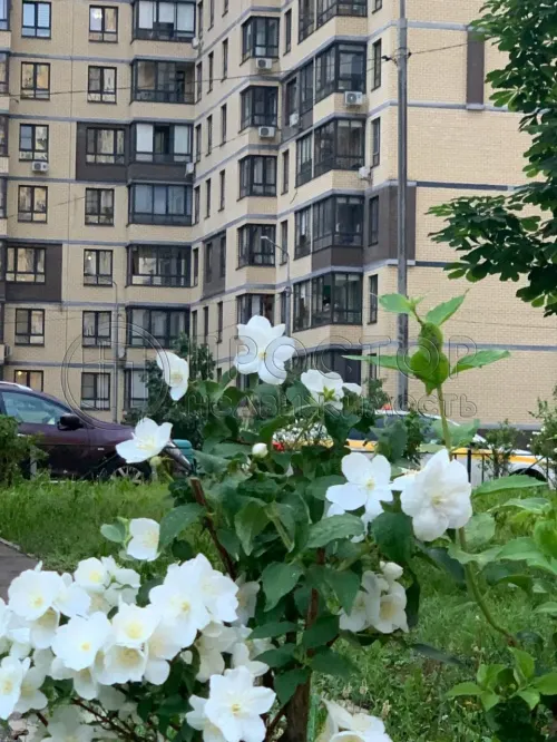 1-комнатная квартира, 36.4 м² - фото 37