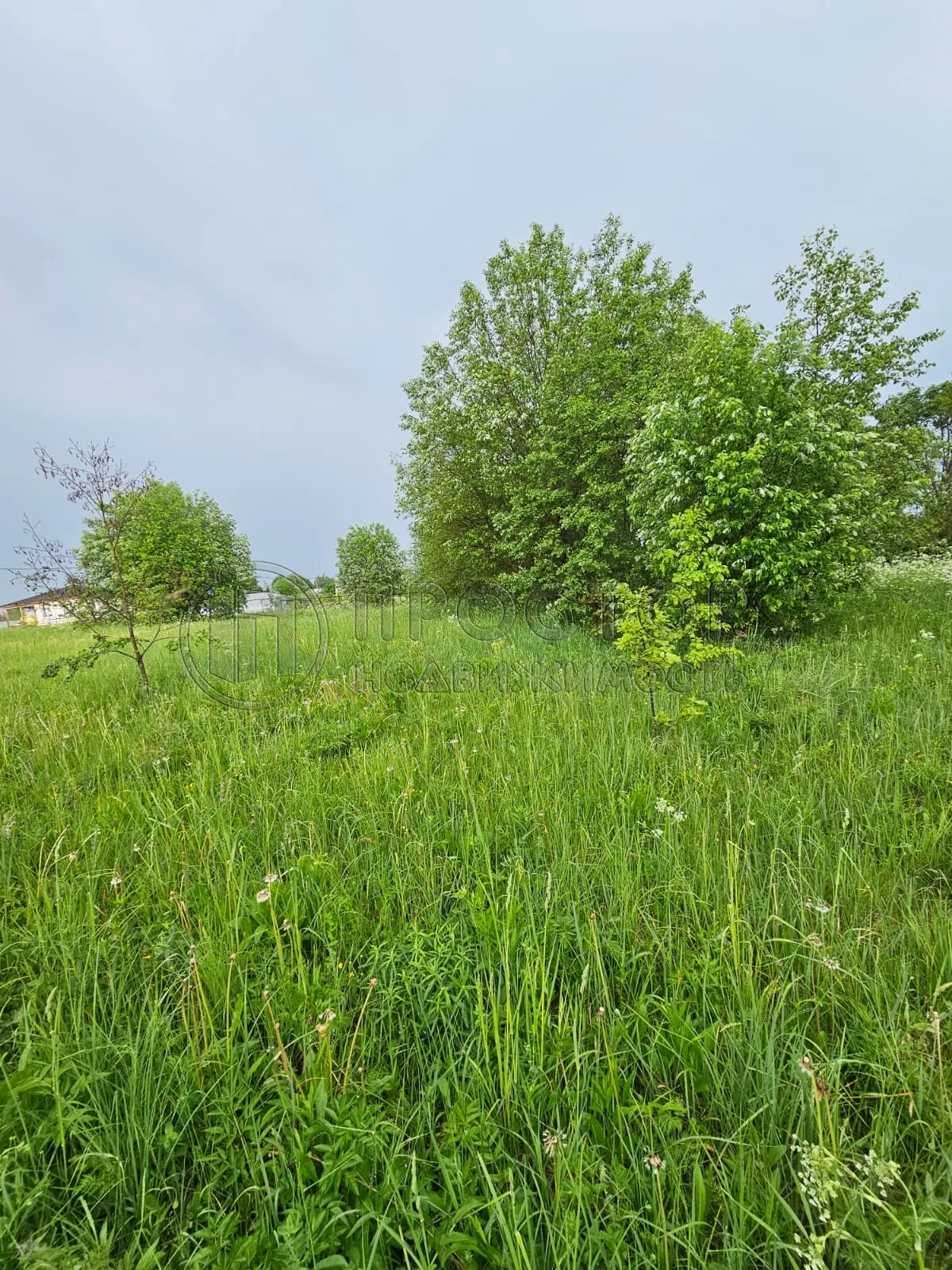 Участок, 20 сот. - фото 6