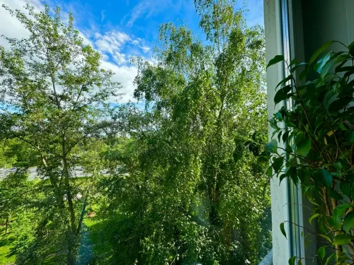 2-комнатная квартира, 45.5 м² - фото 12