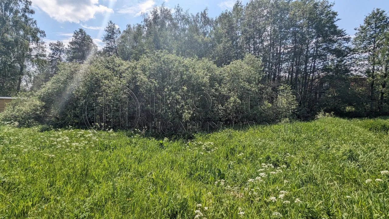 Участок, 6.5 сот. - фото 2