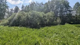 Участок, 6.5 сот. - фото 3