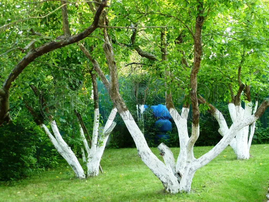 Дом, 91 м² - фото 29