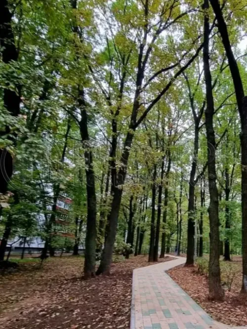 3-комнатная квартира, 63 м² - фото 3