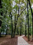 3-комнатная квартира, 63 м² - фото 20