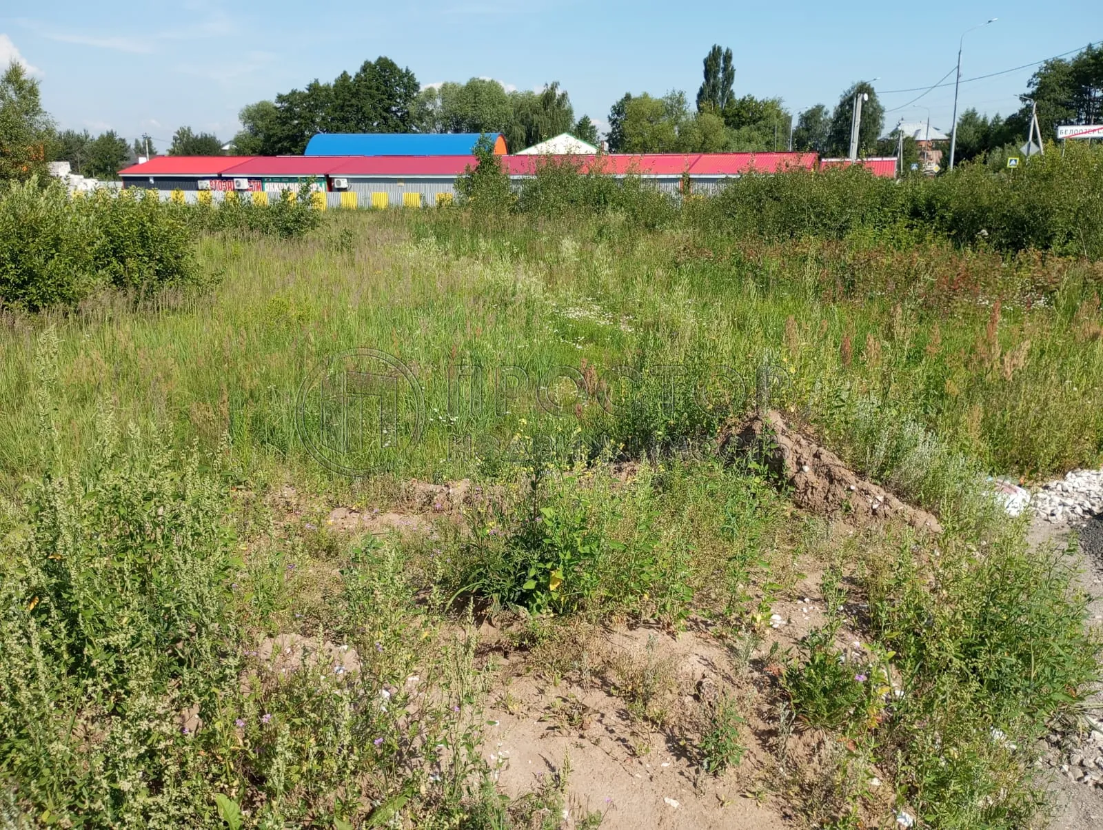 Участок, 10 сот. - фото 5