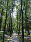 1-комнатная квартира, 37.4 м² - фото 34