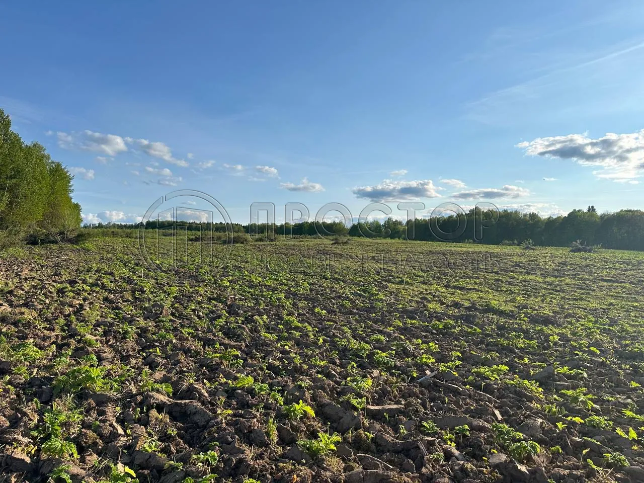 Участок, 8.99 сот. - фото 2