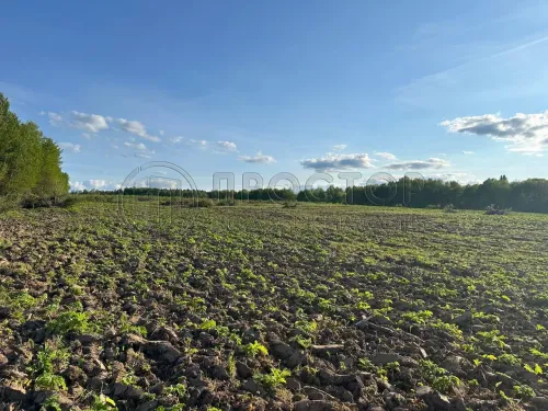 Участок, 8.99 сот. - фото 2