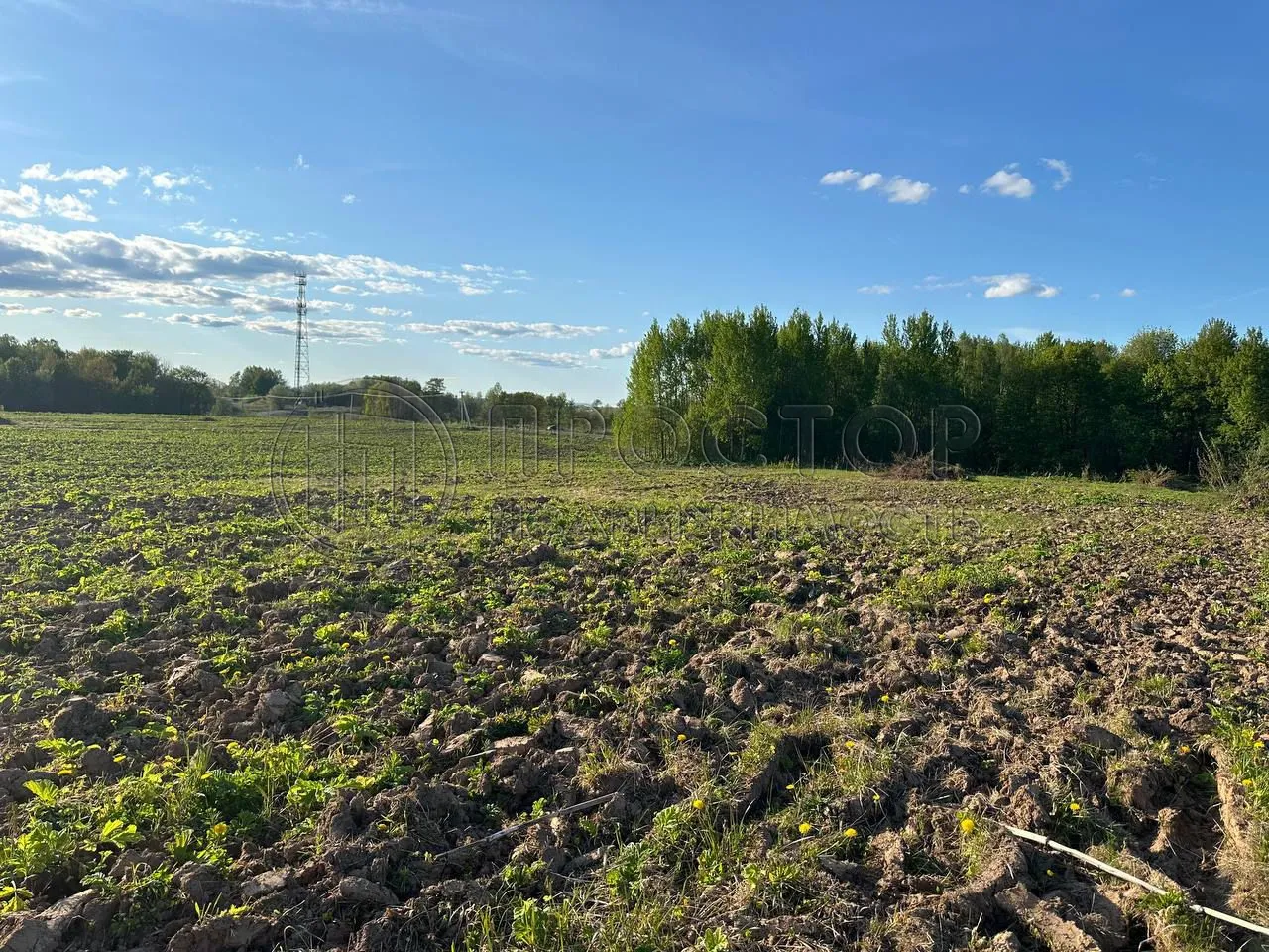 Участок, 8.99 сот. - фото 3